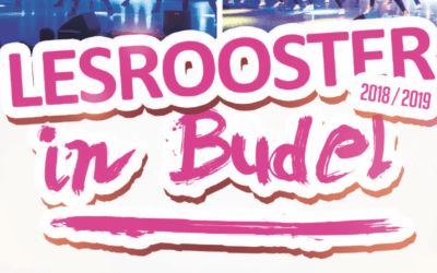 Kleine wijziging lesrooster zaterdag Budel